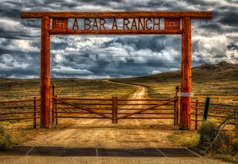 Personal-Brand-Cattle-Ranch