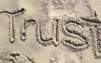 Job Search: Who are you trusting?