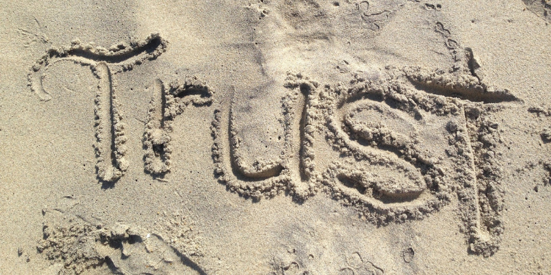 Job Search: Who are you trusting?