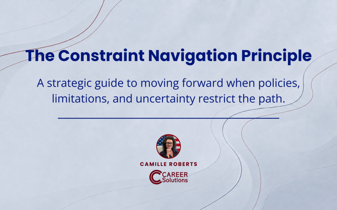 The Constraint Navigation Principle